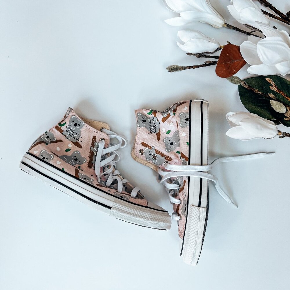 Converse Chuck Taylor All Star Explore Nature (NWOT)